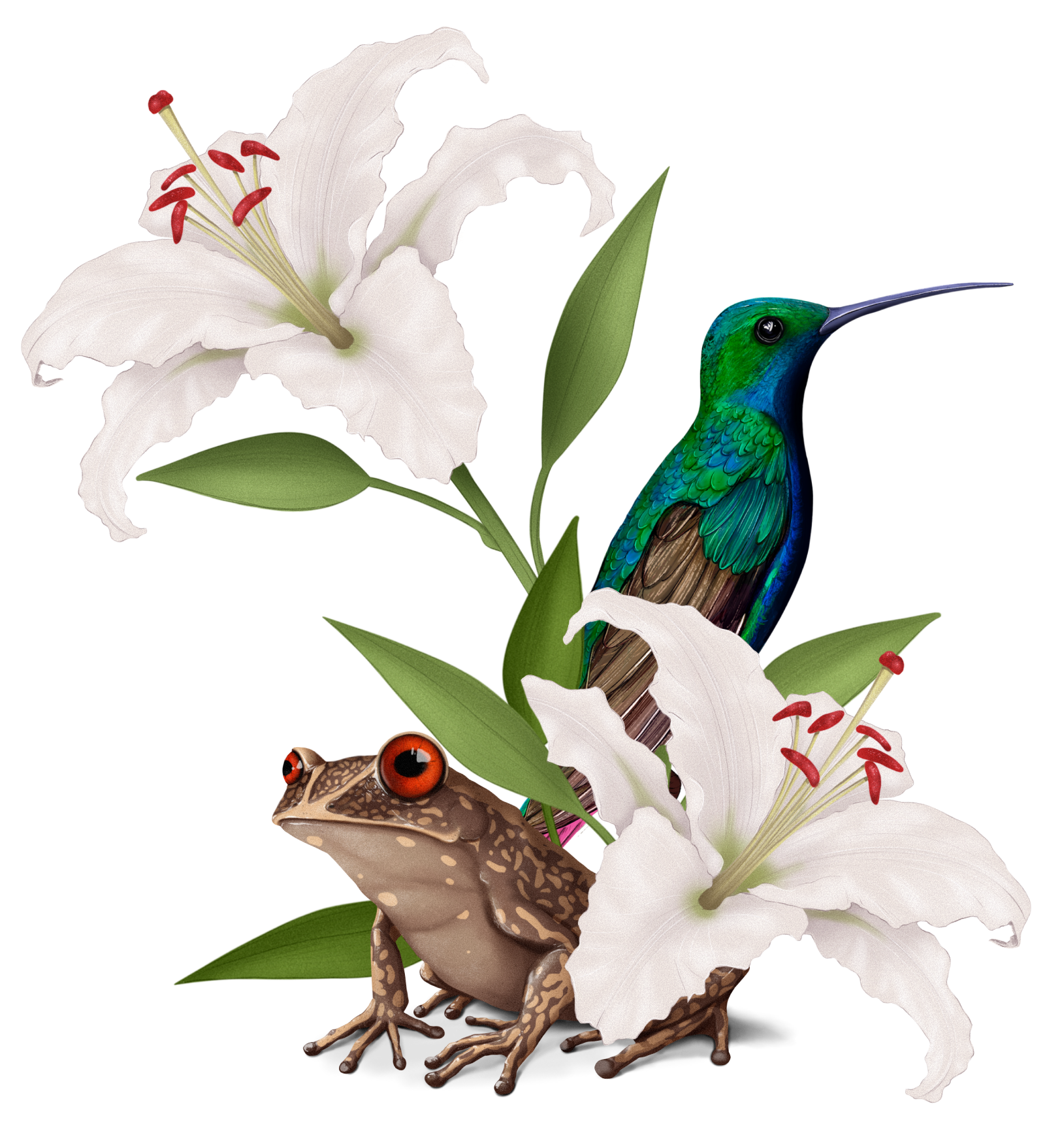 Logo Bruna Borges