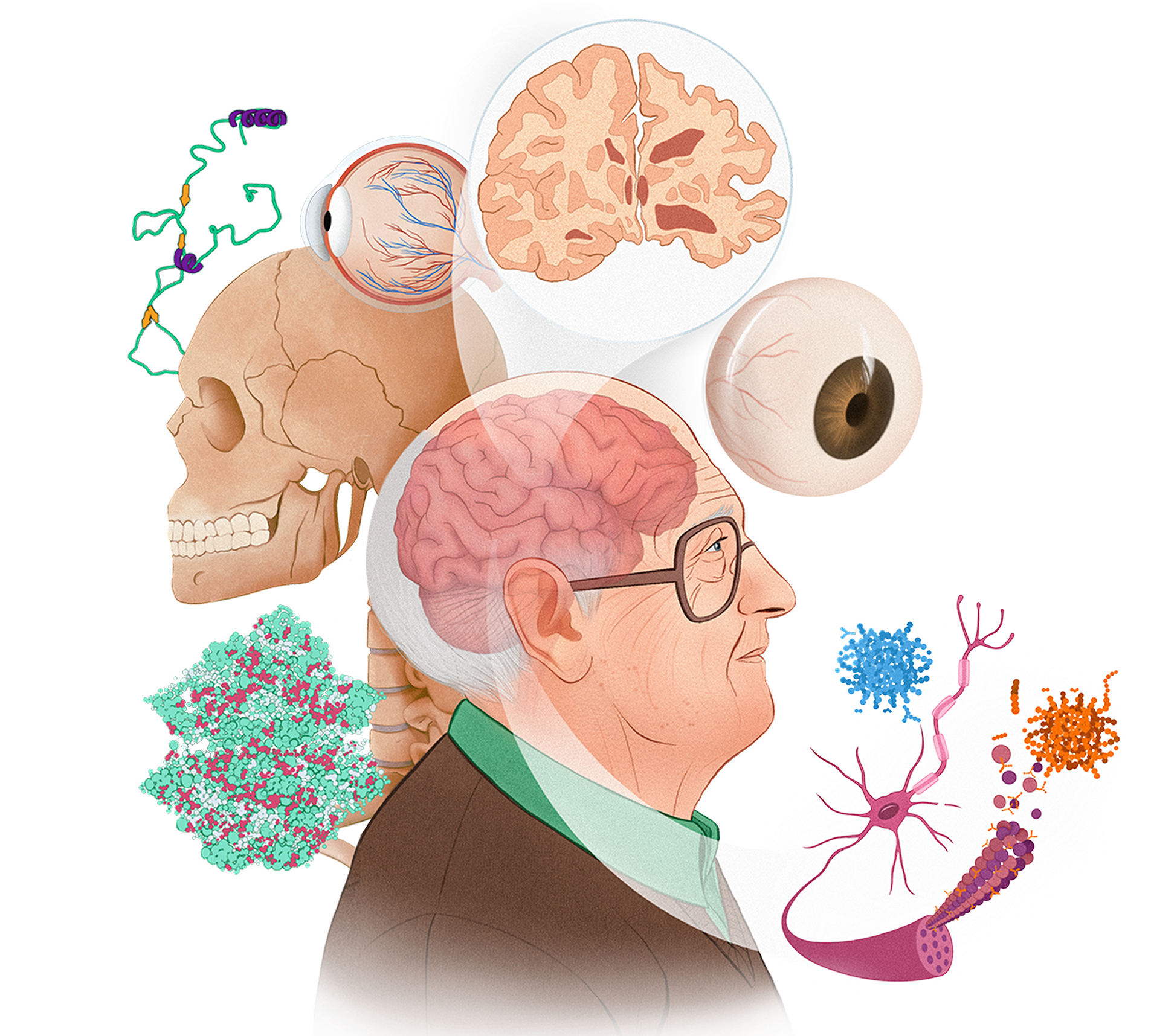 Ilustração decorativa