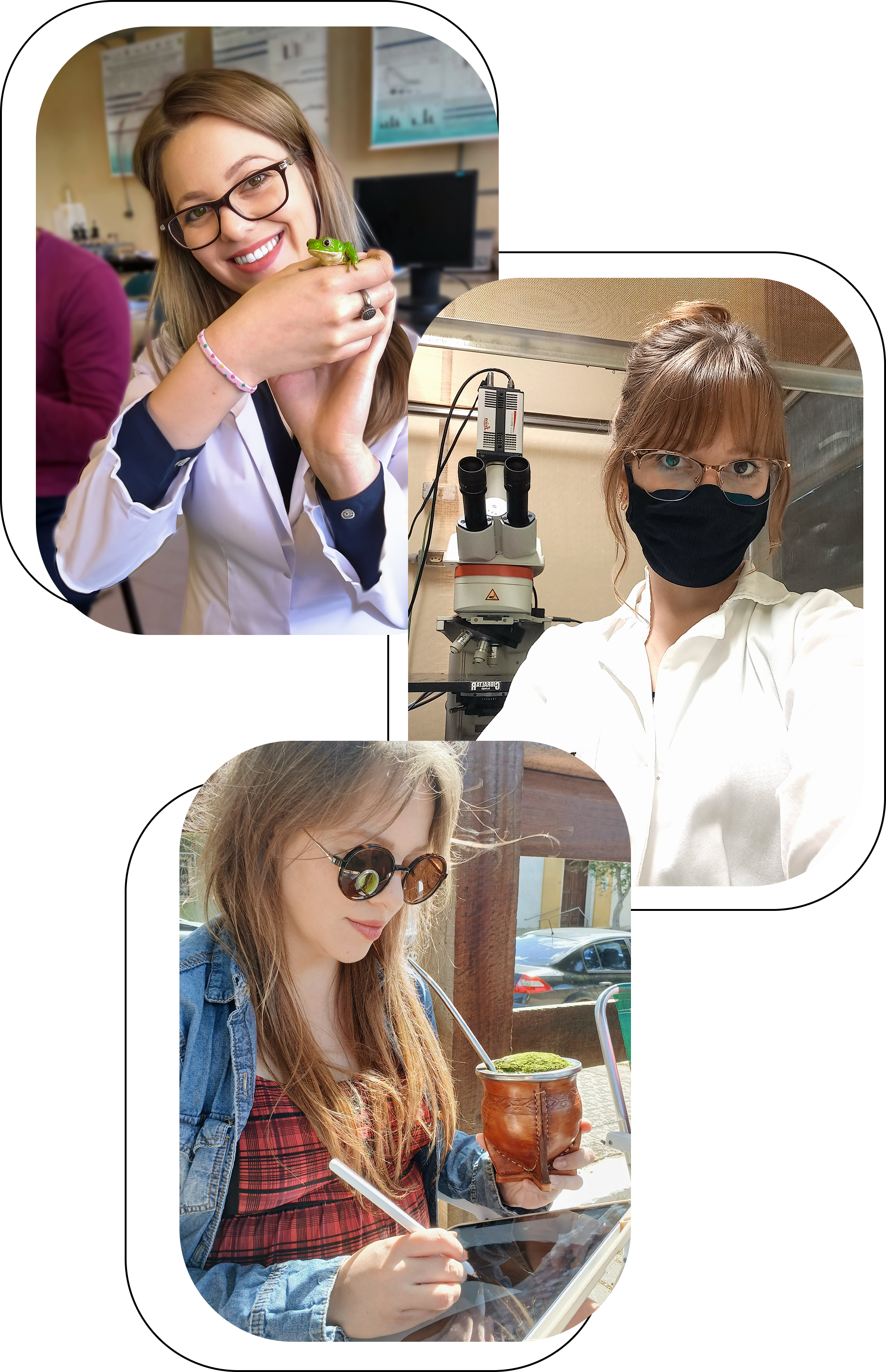 Ilustração decorativa